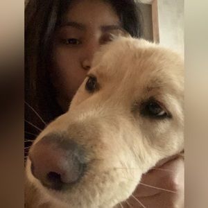 Meet your Posher, Carrie